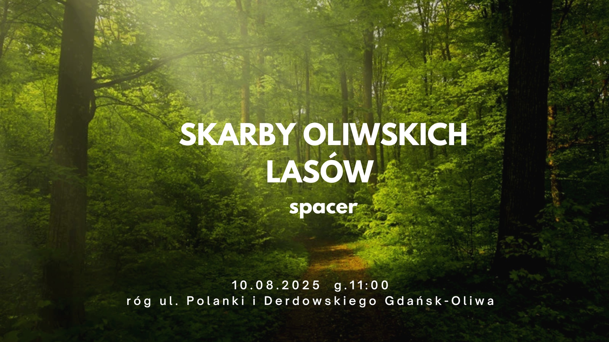 Zaproszenie na spacer przyrodniczy lasy oliwskie
