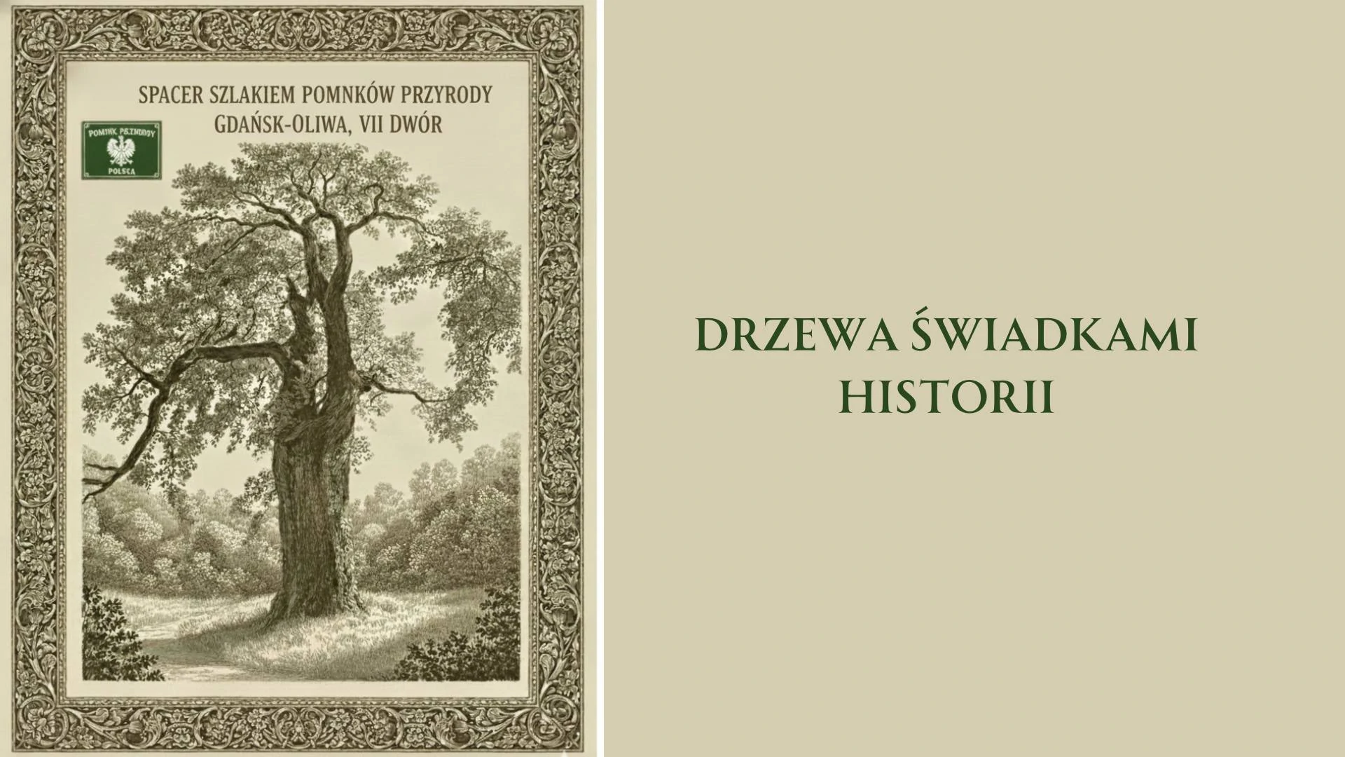 Spacer szlakiem pomników przyrody