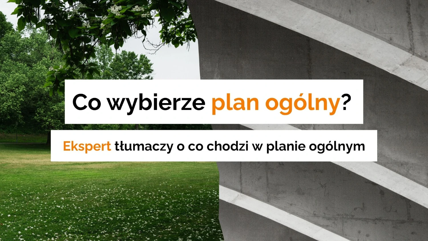 Spotkanie z ekspertem o planie ogólnym - co wybierze plan ogólny - drzewa czy betonoza.