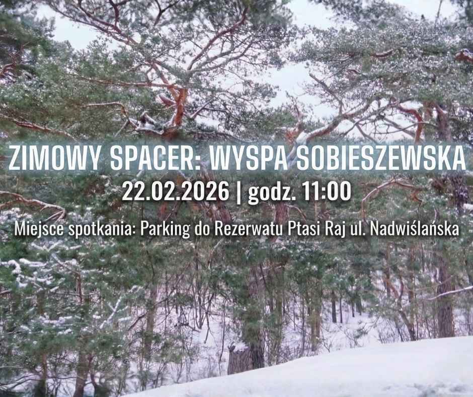 Zaproszenie na spacer zimowy - Wyspa Sobieszewska, 22.02.26 11:00