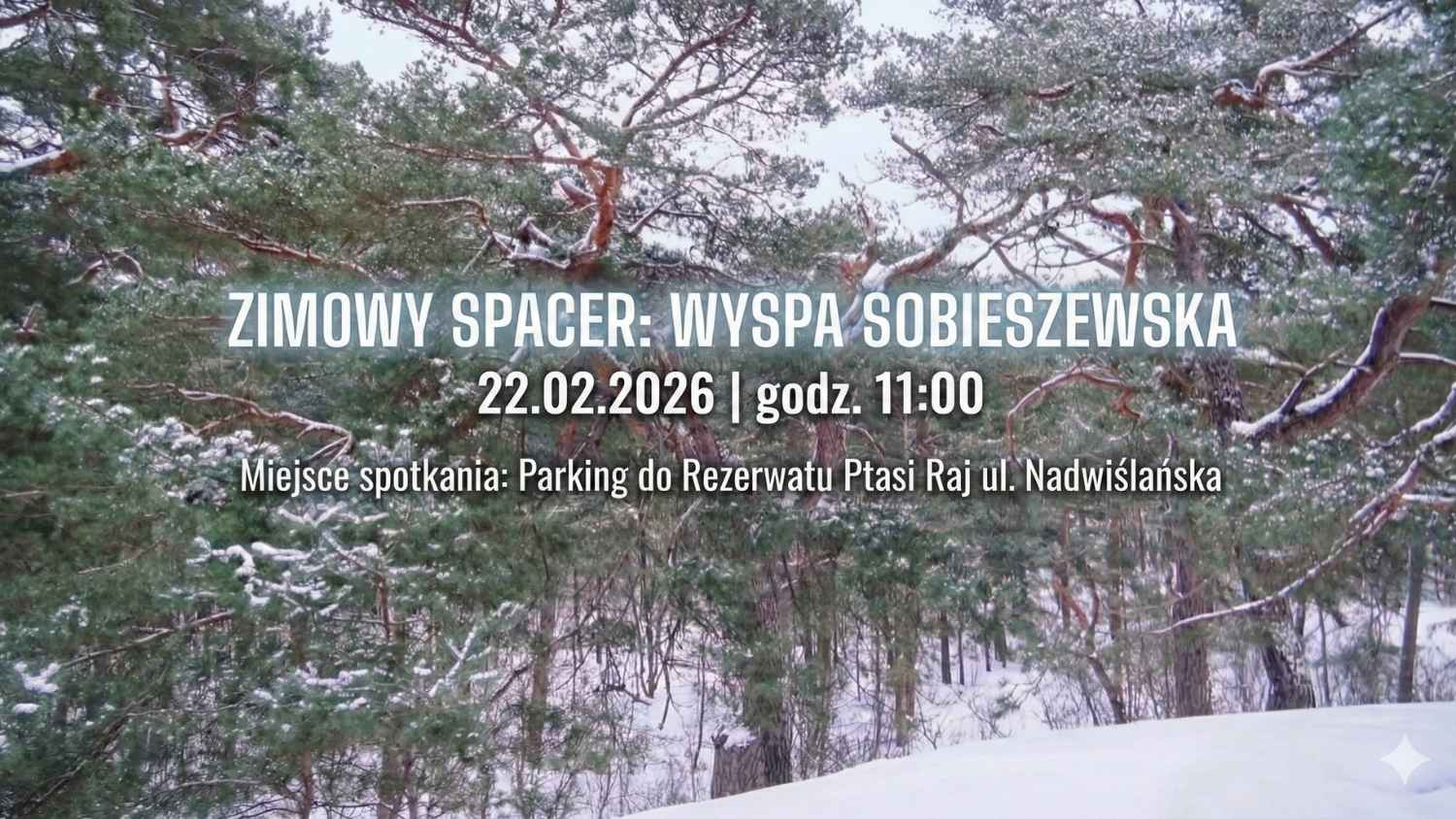 Zimowy spacer- Wyspa Sobieszewska - zaproszenie, 22.02.2026