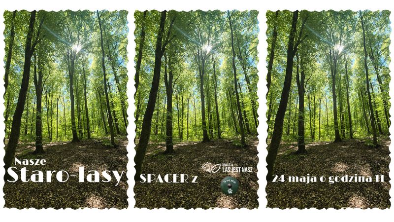 Spacer Starolasy 24.05.2026 TPK