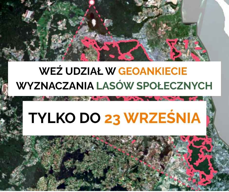 Weź udział w geoankiecie lasów społecznych, tylko do 23 września !