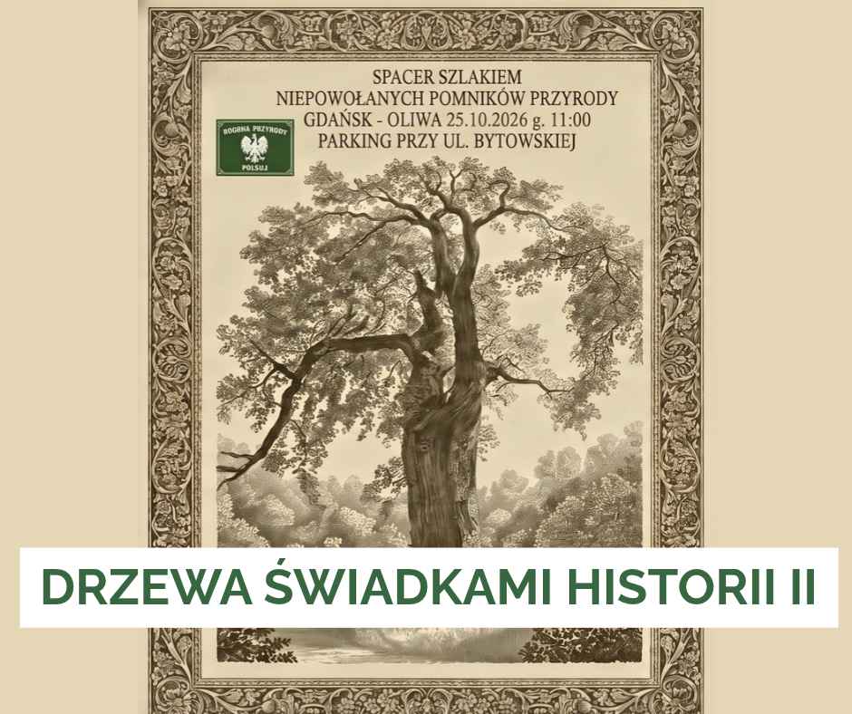 drzewa świadkami historii 2 - spacer 25.10.26 , godzina 11:00