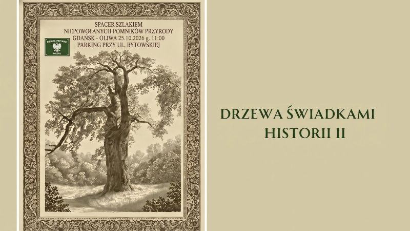 drzewa świadkami historii 2 - spacer 25.10.26 , godzina 11:00 